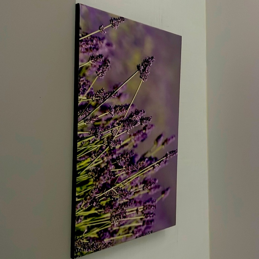 Lovely Lavender Fields Print